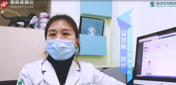 了不起的寵物<em>醫生</em>吳冬梅：因為熱愛，所以堅守
