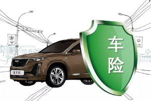 目前假期延長，車輛保險到期怎么辦?