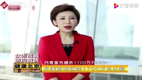 丹麥宣布捕殺1700萬只水貂，因水貂養殖場出現變異新冠病毒！