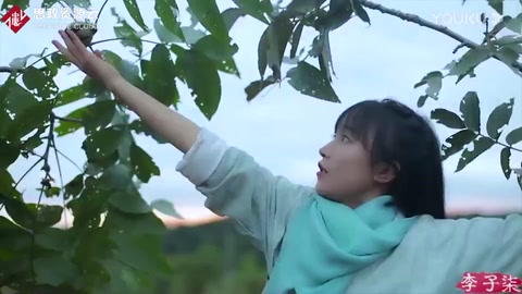 <em>李子</em><em>柒</em>：并非一夜成名，背后<em>的</em>努力付出是一般人想象不到<em>的</em>