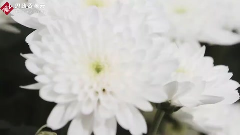 <em>世界</em>上最大型<em>花卉</em>種植基地，<em>世界</em>一半資源都來自于這里！