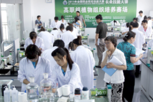 全國<em>高職</em>組植物組織培養<em>技能</em><em>大賽</em><em>現場</em>裁判