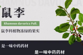 弘揚<em>中醫(yī)藥</em><em>文化</em>,傳播<em>中醫(yī)藥</em>知識：中華<em>本草</em>-鼠李