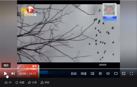 授課視頻—疫情下<em>的</em>愛(ài)情：隔空<em>不</em>隔<em>愛(ài)</em>