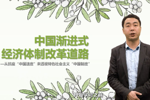 <em>微</em><em>課</em>：<em>經濟學</em><em>專業</em>《<em>政治經濟學</em>_中國漸進式經濟體制改革措施》