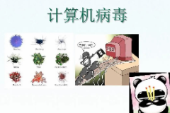 教學(xué)圖片—<em>計算機(jī)</em><em>病毒</em>