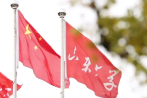 <em>微</em><em>課</em>：<em>漢語(yǔ)</em>言文學(xué)<em>專(zhuān)業(yè)</em>《現(xiàn)代<em>漢語(yǔ)</em>》
