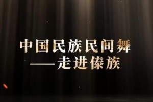 微課：早期教育、學(xué)前教育專業(yè)《舞蹈基礎(chǔ)—走進(jìn)傣族民間舞之三道彎》