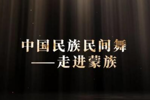 微課：早期教育、學(xué)前教育專業(yè)《舞蹈基礎(chǔ)—走進(jìn)蒙族民間舞之柔臂》
