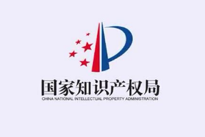 我與知識產權強國建設