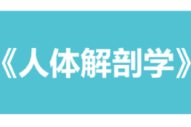 <em>課件</em>：康復治療學、護理學、助產學<em>專業</em>《<em>人體</em><em>解剖</em>學》