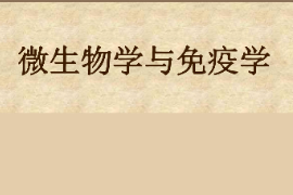 課件：園林、中草藥栽培與鑒定、環(huán)境生態(tài)工程，食品質(zhì)量與安全，生物制藥、生物技術(shù)、健康服務與管理專業(yè)《微生物學—微生物學與免疫學—緒論》