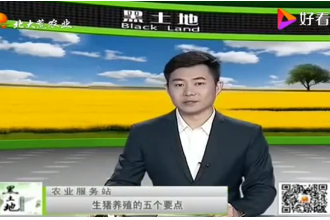 想要豬長膘<em>快</em>，生豬育肥的這<em>五</em>個技術要點要記牢了