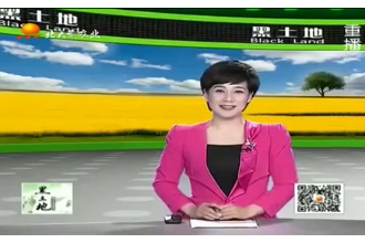 母豬<em>妊娠</em>期的飼養和管理方法