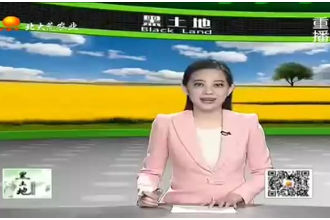 哺乳仔豬怎么養(yǎng)？農(nóng)業(yè)服務(wù)站為您帶來飼養(yǎng)哺乳仔豬的技術(shù)要點(diǎn)