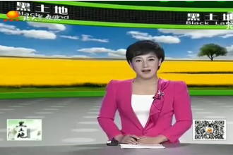 養(yǎng)豬寶典：空懷<em>母豬</em><em>的</em><em>飼養(yǎng)</em><em>管理</em><em>要點</em>