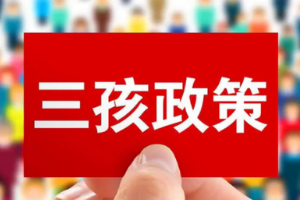 盤(pán)點(diǎn)人大代表關(guān)于三孩政策的建議