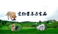 <em>微</em><em>課</em>：寵物養(yǎng)護(hù)<em>與</em>馴導(dǎo)<em>專業(yè)</em>《寵物<em>營養(yǎng)</em><em>與</em><em>食品</em>》