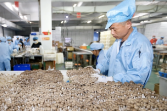 園藝技術專業(yè)：《物盡其用》課程思政案例