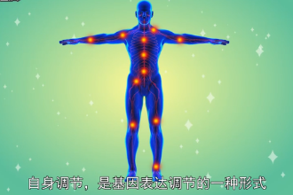 自身調(diào)節(jié)—<em>基因</em><em>表達(dá)</em>調(diào)節(jié)形式