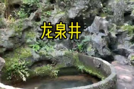 杭州西湖鳳篁嶺有一龍井泉，古老又神秘，被人們譽(yù)為天下第三泉