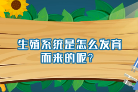 生殖系統是怎么發育而來的呢？