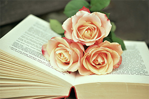 國際<em>新聞</em>與傳播<em>專業(yè)</em>：《<em>新聞</em><em>采訪</em>與寫作》<em>課程</em><em>思</em><em>政</em><em>案例</em>