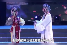 我國有百戲之祖之稱的劇種是什么？