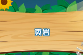 一分鐘了解頁巖