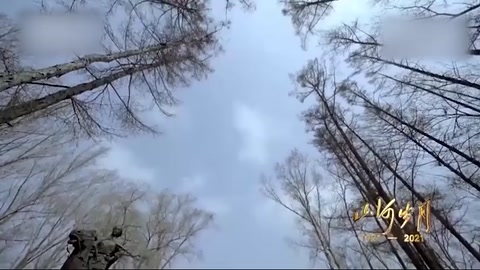 對<em>趙一曼</em>用刑的主兇供述 她像鋼鐵一樣的堅硬