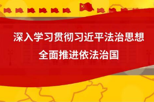 微動漫  “十一個堅持”推進全面依法治國