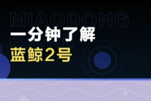 帶您了解藍鯨2<em>號</em>