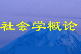 課件：社區(qū)矯正專業(yè)《社會學概論2》