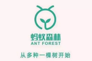 帶你了解螞蟻<em>森林</em>支付寶客戶端公益行動