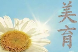 通識(shí)課：《大學(xué)<em>美育</em>》<em>課程</em><em>思</em><em>政</em>申報(bào)書(shū)