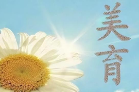美育類專業：《美育—藝術—中國書法藝術之美》課程思政案例