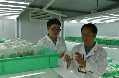 宋光龍植保工匠室：綠水青山的守護者，植保工匠精神的傳承者