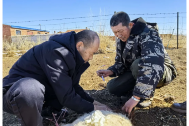 <em>草原</em>獸醫林巖 三十二載護牧興